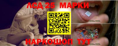 стафф Тара