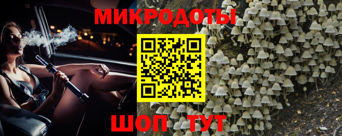 Галлюциногенные грибы Cubensis Сафоново