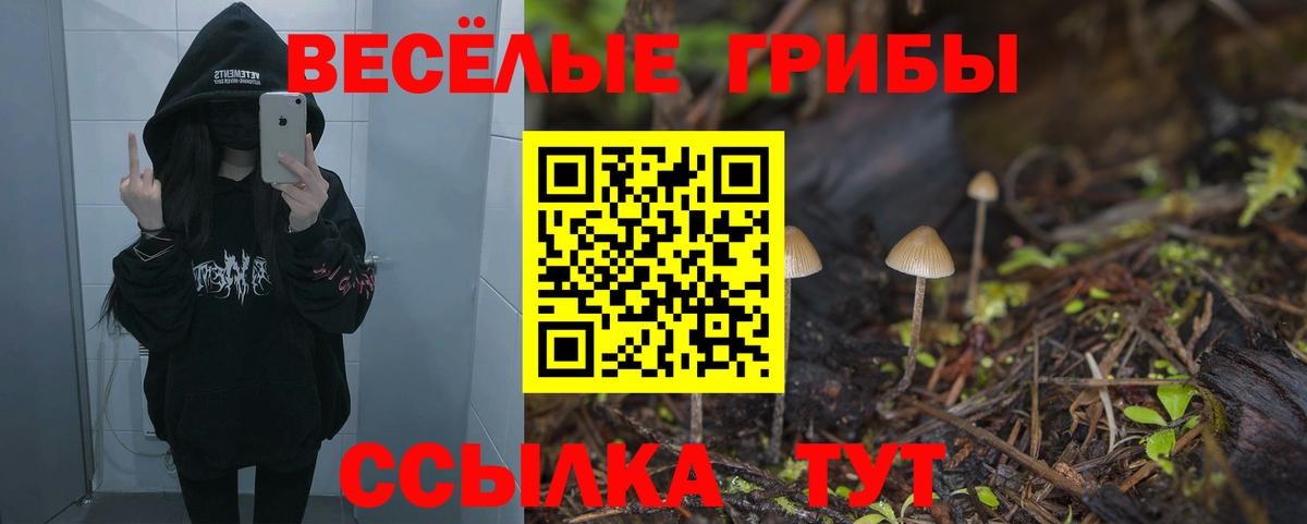 Псилоцибиновые грибы GOLDEN TEACHER  наркошоп  Сафоново  Галлюциногенные грибы Cubensis  Вход с VPN 